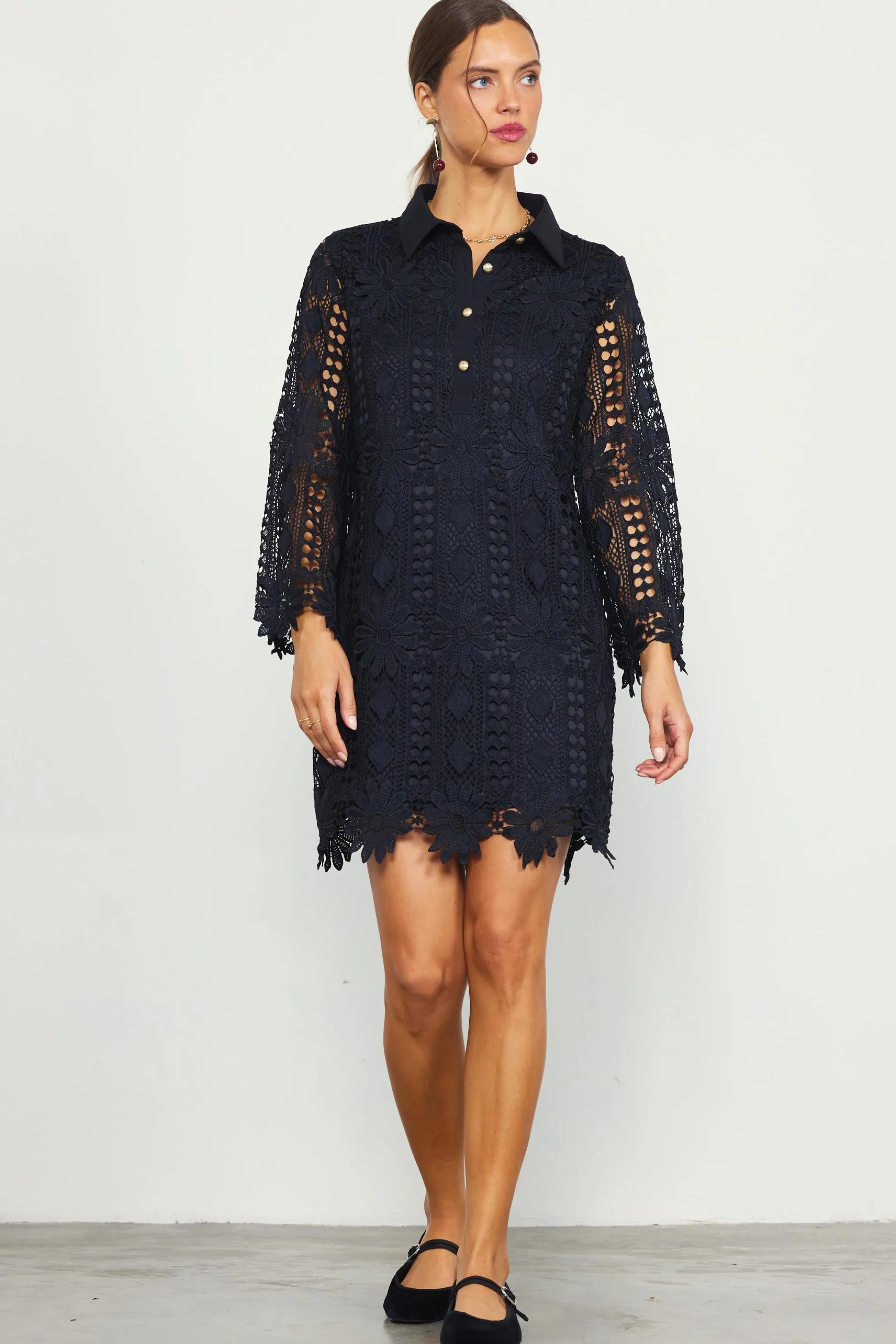 Embroidered Eyelet Lace Mini Dress