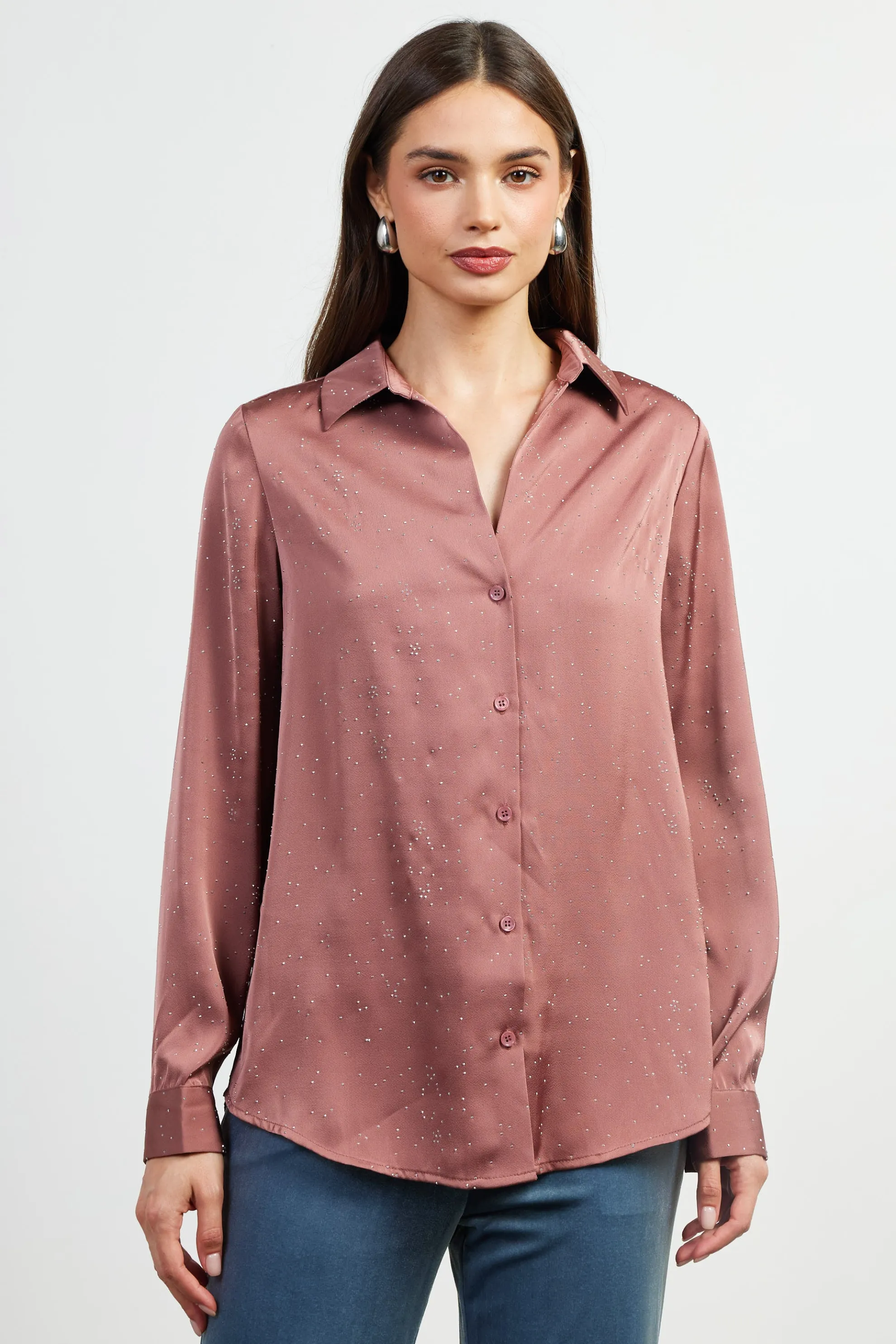 Shimmery Button Down Blouse